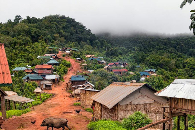 Nam Ha National Bio-Diversity Conservation Area, Luang Namtha Province, Laos